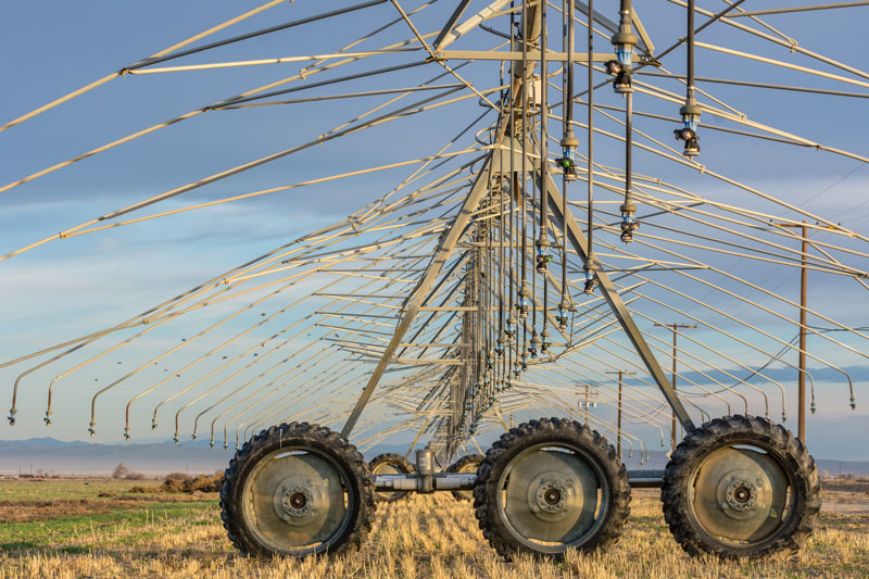 irrigation-steve-harvey-IcG_itdiwdE-unsplash