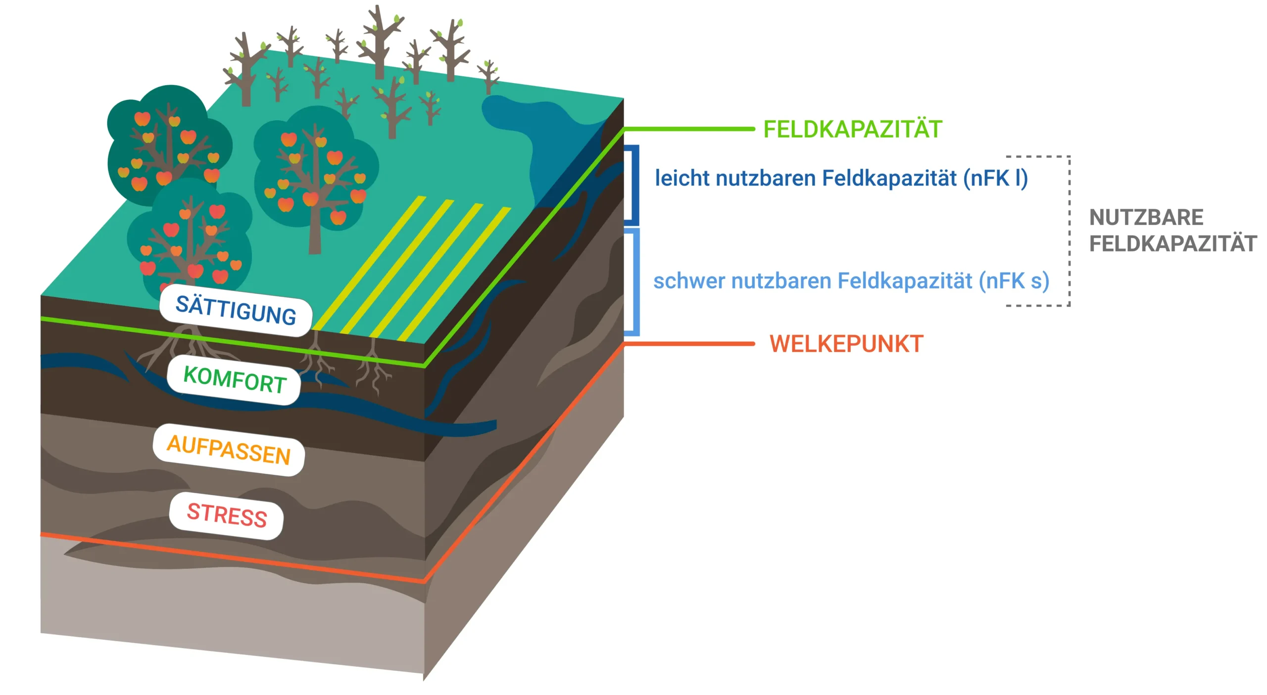 Schema Nutzreserve, Feldkapazität und Welkepunkt