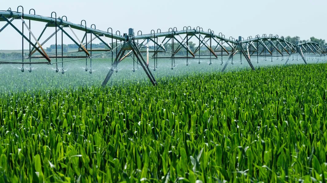 Système d'irrigation rampes agricoles