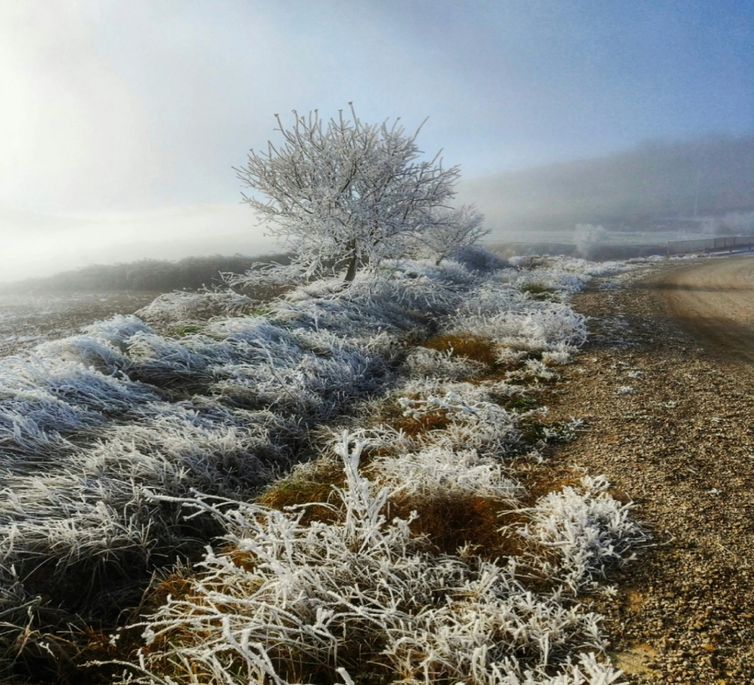 Journal de bord gel SEO mars avril mai 2025