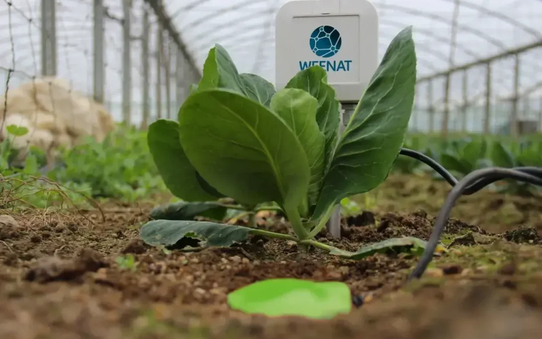 Kapazitiver Sensor: Unsere Empfehlungen für eine gelungene Installation