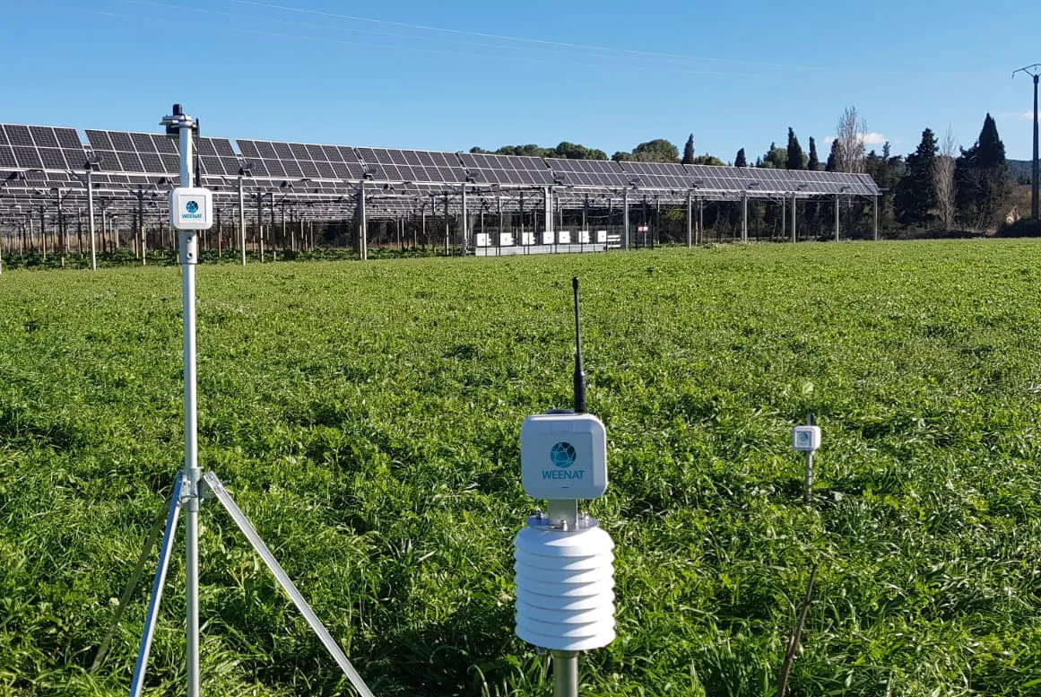 Maraichage_Temoin_TH_Pyranometre-weenat