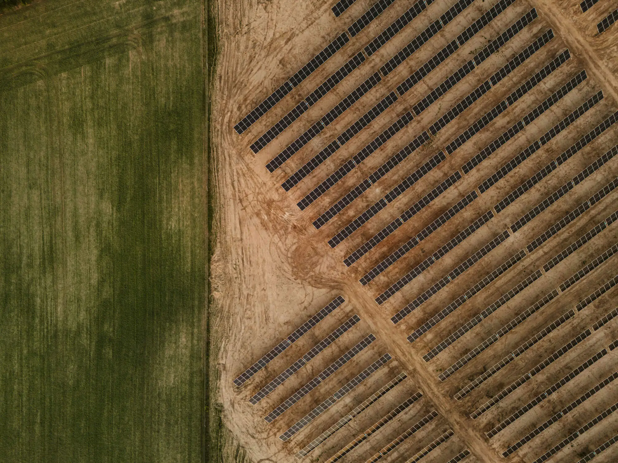 agrivoltaisme-aivars-vilks-5czuT4jlN9s-unsplash