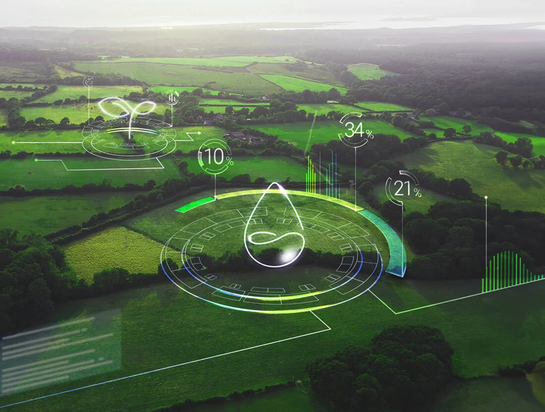 Infography - data field