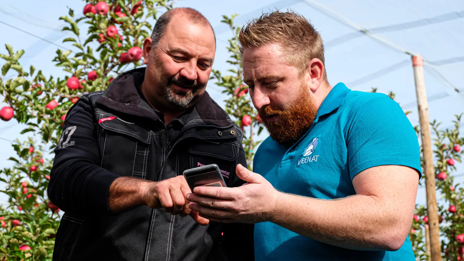 temoignage Weenat olivier curel