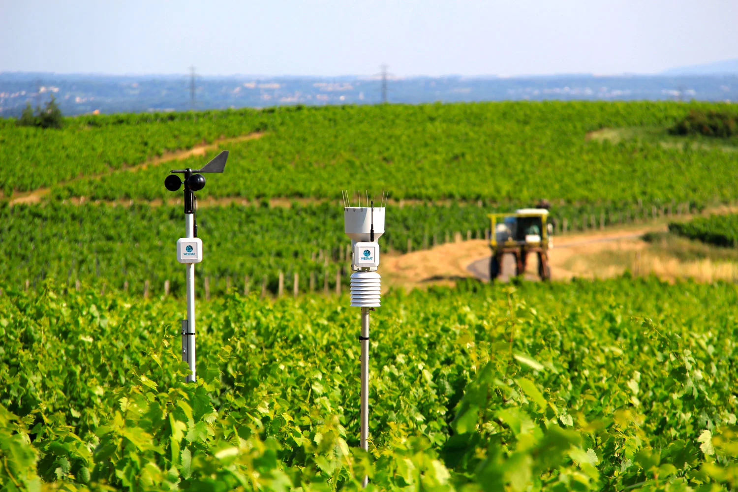 Station-meteo-et-anemometre-weenat-vigne