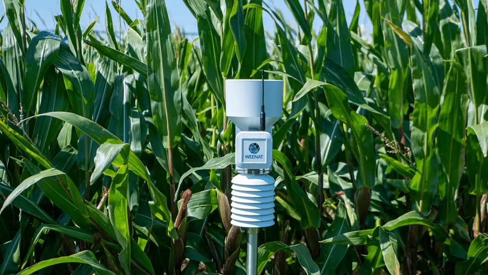 Station météo Weenat