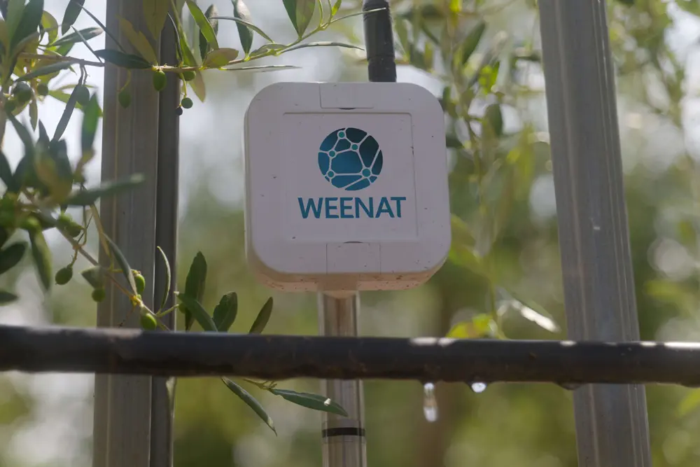  Funktionsweise von Tensiometern 