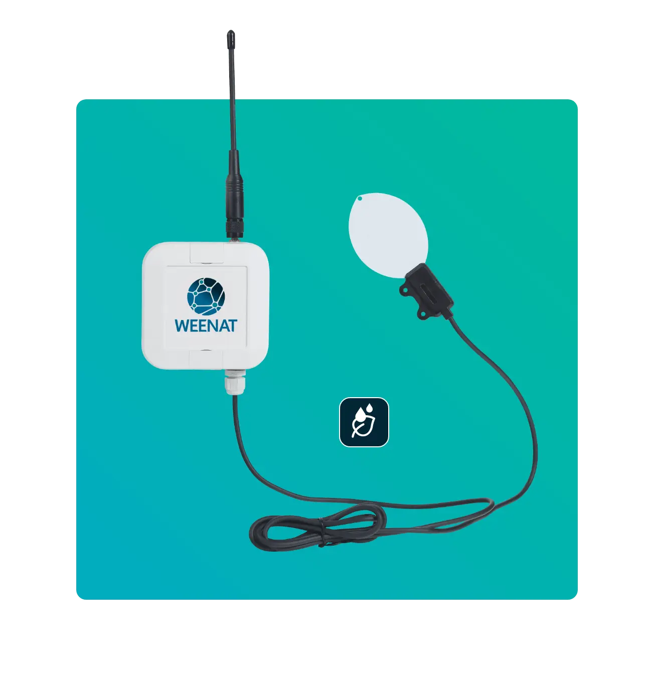 Capteur d'Humectation Foliaire Weenat