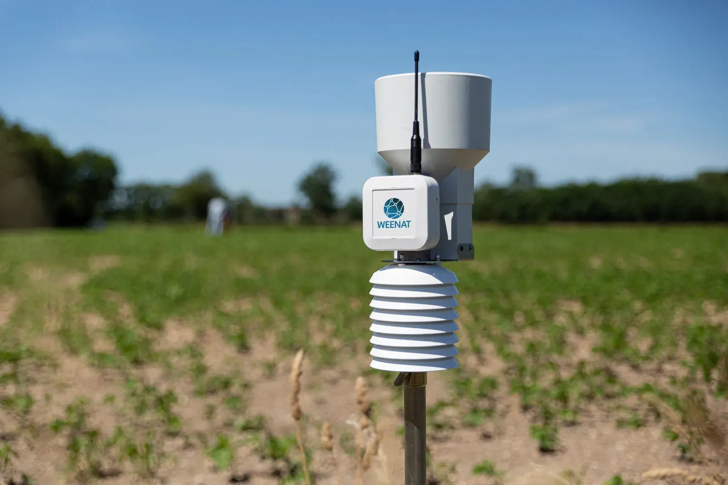 Station-meteo-Weenat-Soja