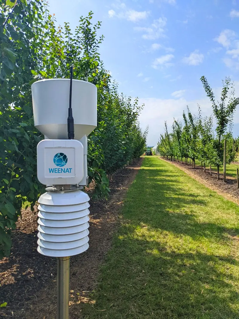 Station-meteo-prune-allemagne-web