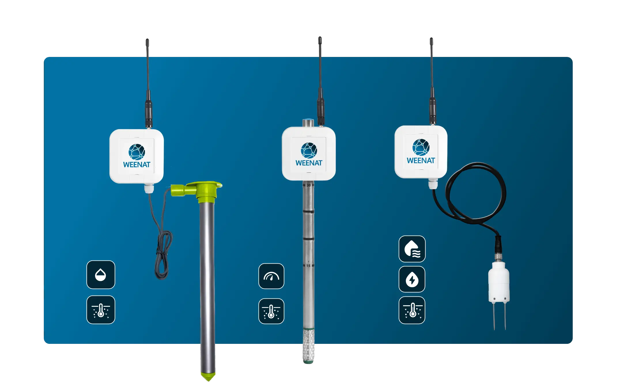 Kapazitiver Sensor, Boden EC-Sensor oder Tensiometer: die richtige Wahl treffen