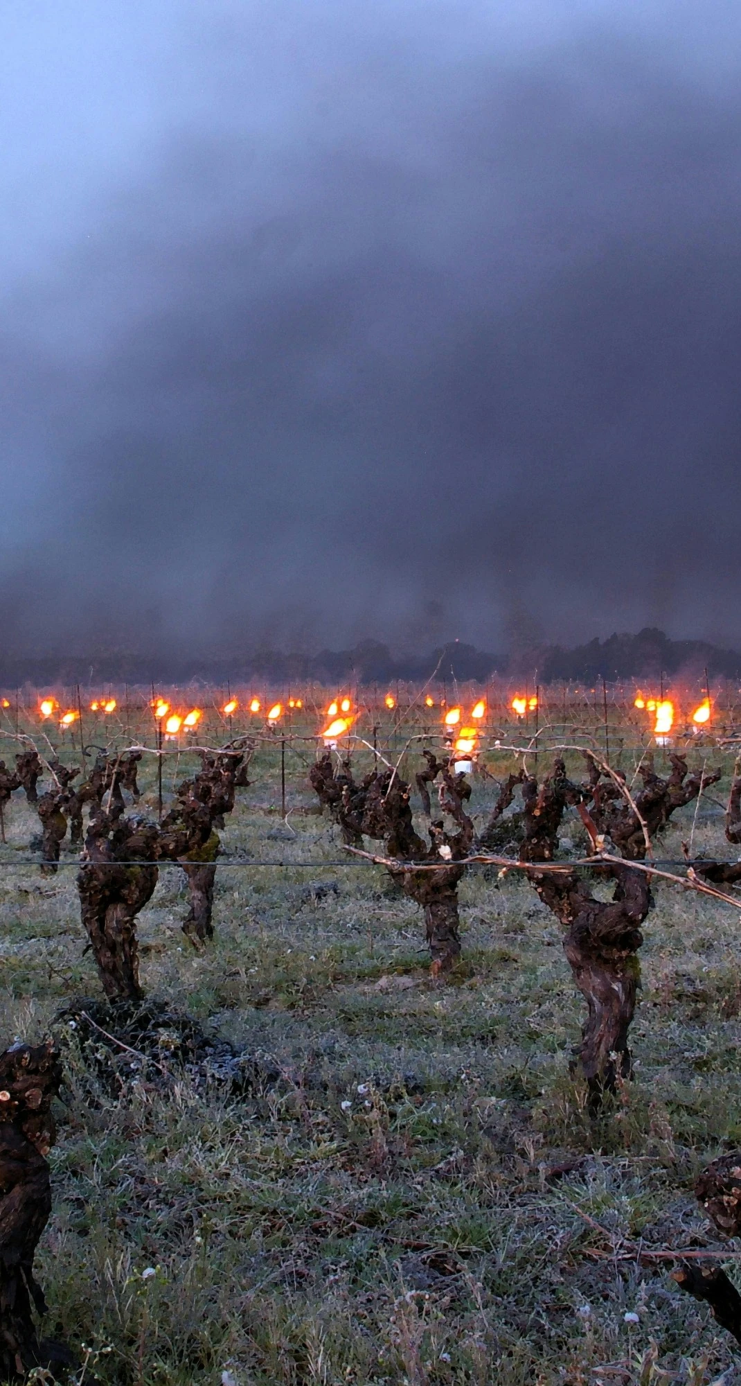 moyens de lutte contre le gel