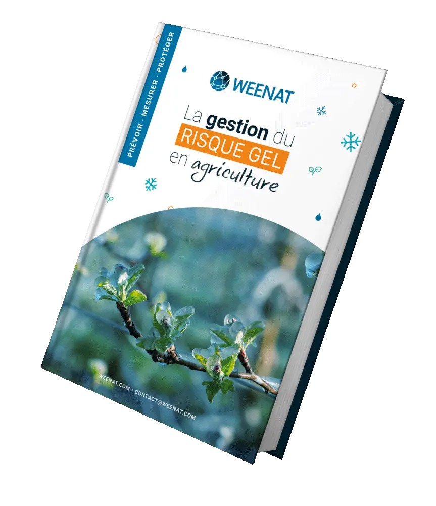 Livre-blanc-risque-gel-couverture