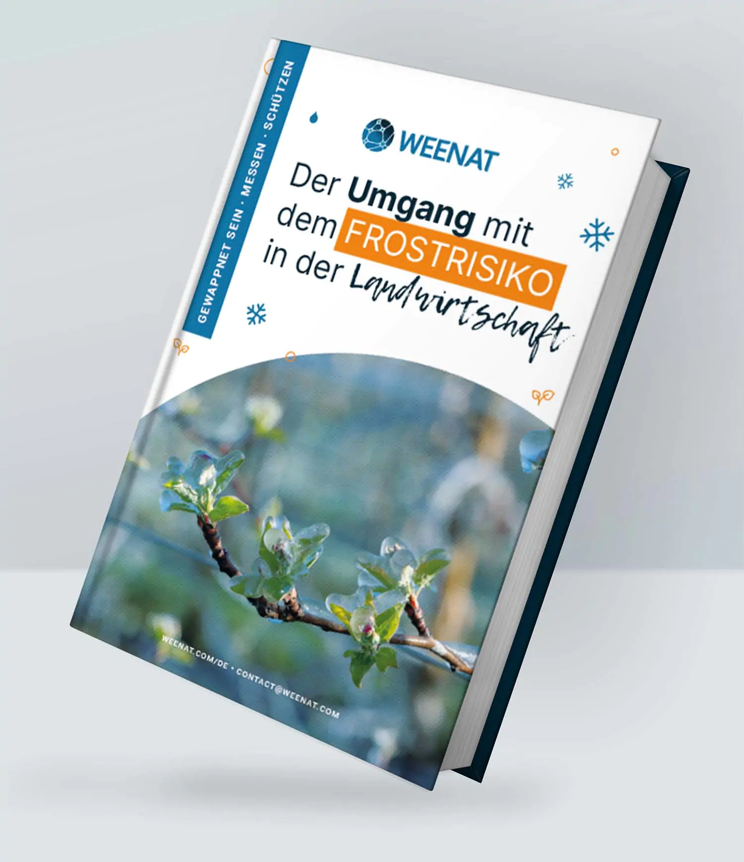 FrostEBook_DECover_Mockup