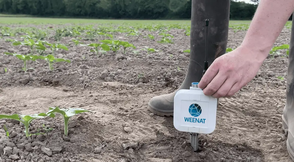 Installation-tensiometre-weenat