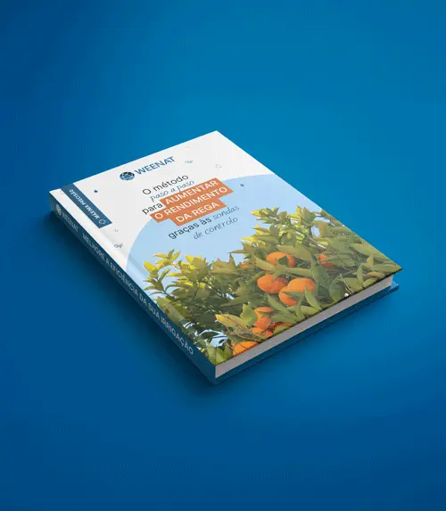 Mockup-ebook-irrigation-PT-2026